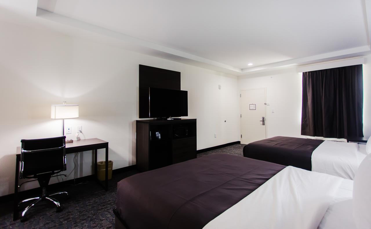 Double Room,659071728:JPEG